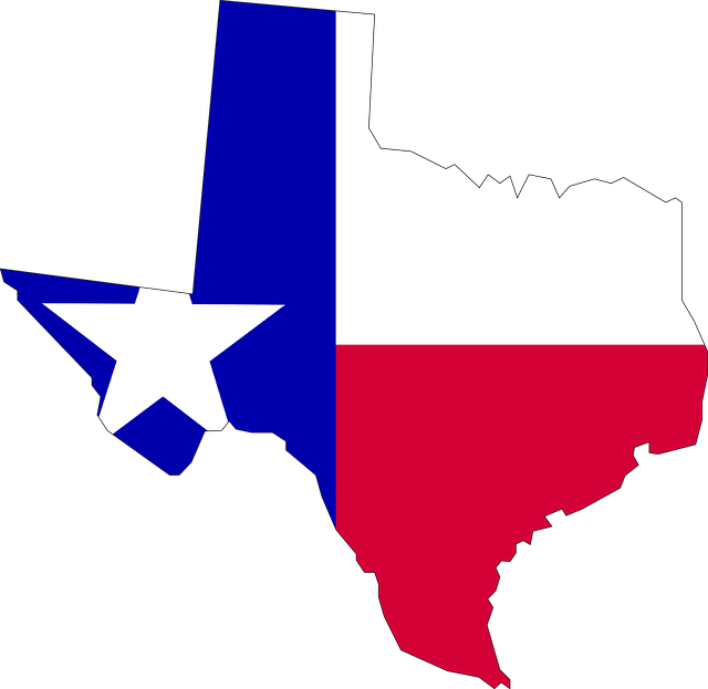The outline of the state of Texas.