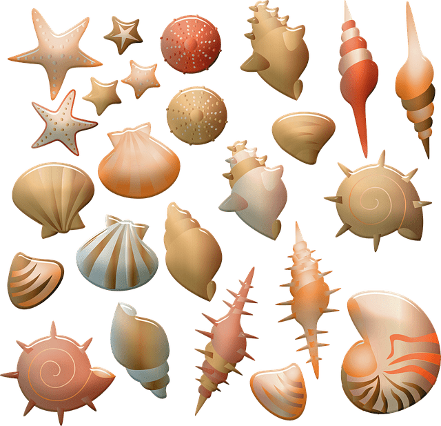 Different sea shells as a symbol.