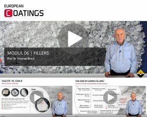 Module 06: Fillers