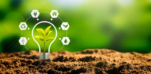 Bio-based feedstocks: The Indian model.
