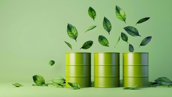 Status quo and future outlook for bio-based coatings.