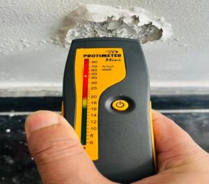 Image 03: Assessment of substrate moisture and coating degradation
